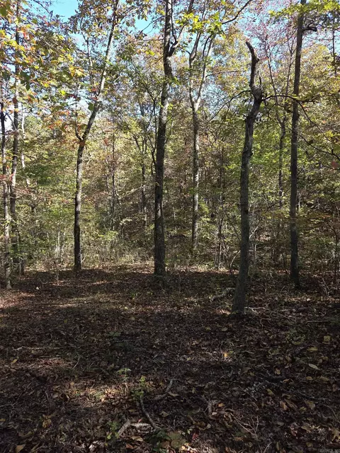 0 Karen Dr, Dennard, AR 72629