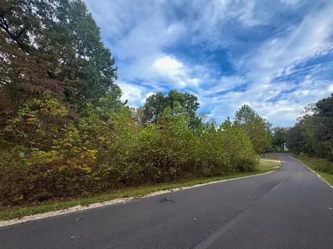 lot29 Goodwin Cv, Ash Flat, AR 72513