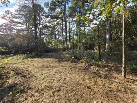 313 Bobbits Ln, Clinton, AR 72031 photo 7