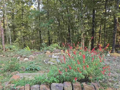 313 Bobbits Ln, Clinton, AR 72031 photo 12