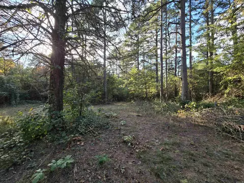 313 Bobbits Ln, Clinton, AR 72031 photo 8