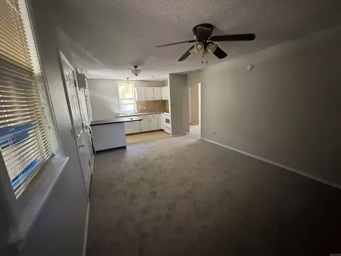 10065 Lemon Ln, Plainview, AR 72857 photo 5