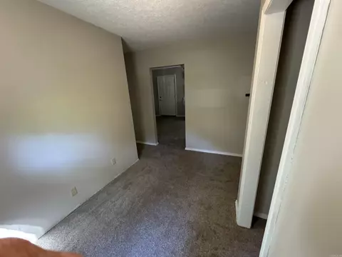 10065 Lemon Ln, Plainview, AR 72857 photo 9