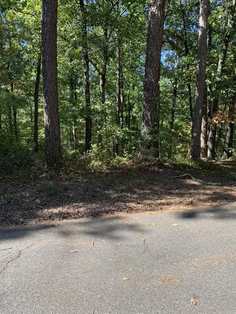 2 Fino Ln, Hot Springs Village, AR 71909