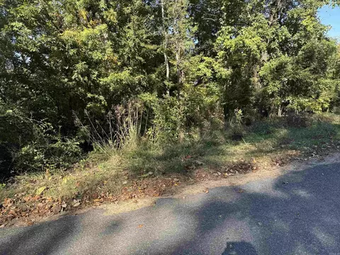lot47 Davidson Cir, Edgemont, AR 72044 photo 20