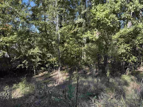 lot47 Davidson Cir, Edgemont, AR 72044 photo 21
