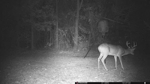 000 Love Trl, Franklin, AR 72512 photo 6