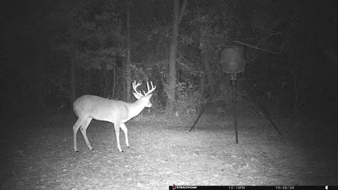 000 Love Trl, Franklin, AR 72512 photo 5