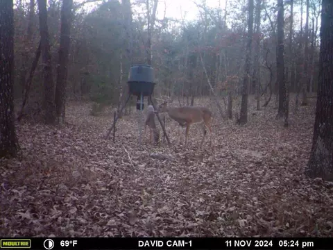 000 Love Trl, Franklin, AR 72512 photo 2