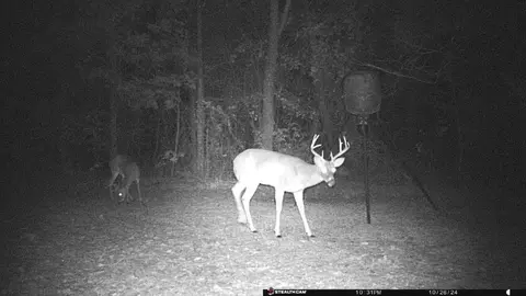 000 Love Trl, Franklin, AR 72512 photo 4