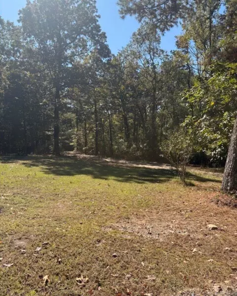 72 Claussen Rd, Langley, AR 71952 photo 32