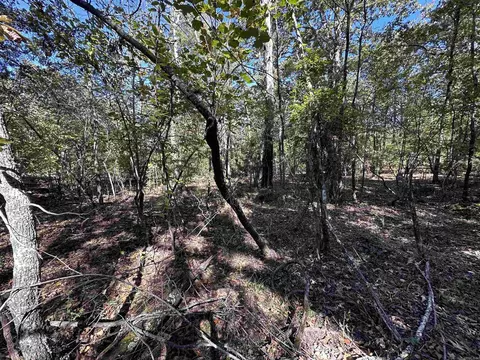 1406 Parkway Ln, Horseshoe Bend, AR 72512