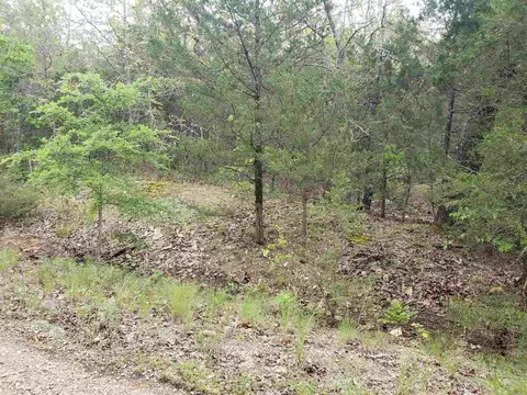 10 Pahokee Drive # l, Cherokee Village, AR 72529