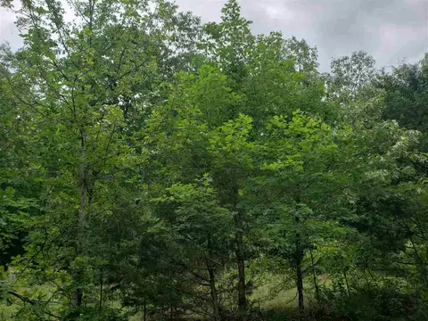 9 Lochloosa Drive # l, Cherokee Village, AR 72529