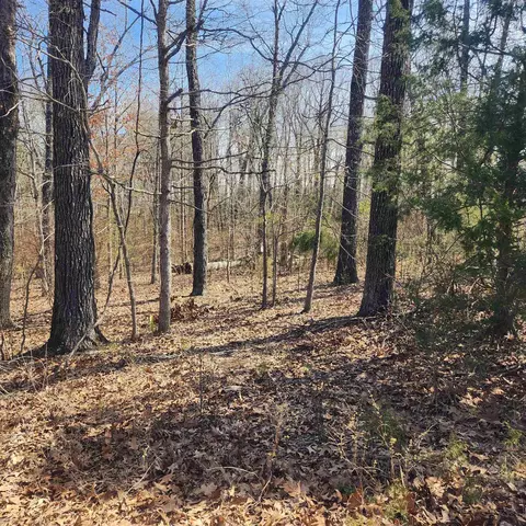 29 Miccosukee Circle, Cherokee Village, AR 72529