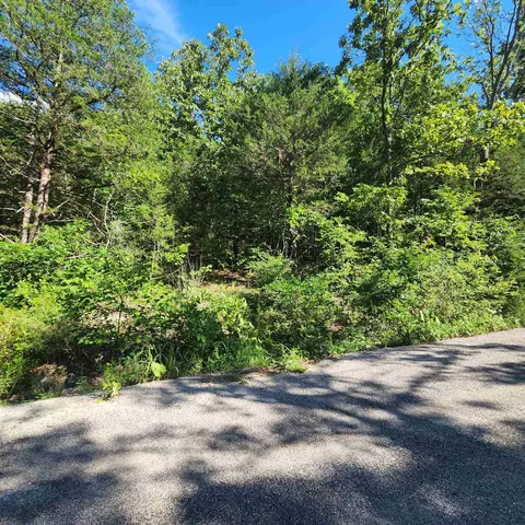 8 Choctaw Drive # l, Cherokee Village, AR 72529