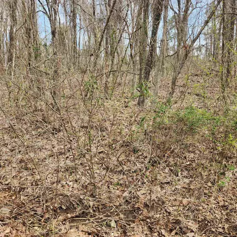 9 Choctaw Drive, Cherokee Village, AR 72529
