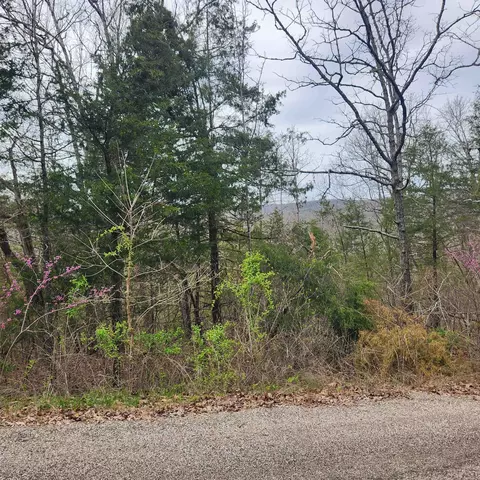 11 Choctaw Drive, Cherokee Village, AR 72529