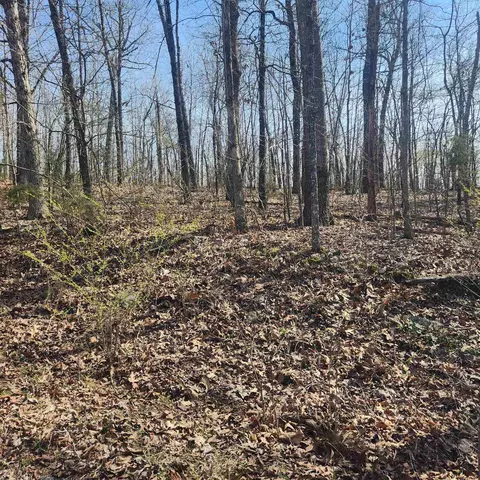 6 Chickasaw Drive, Cherokee Village, AR 72529