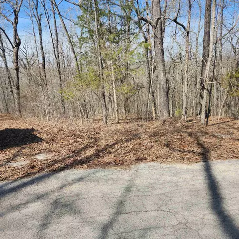 26 White Dove Lane, Cherokee Village, AR 72529