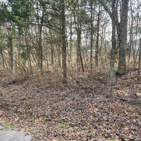 25 Yancopin Drive, Cherokee Village, AR 72529