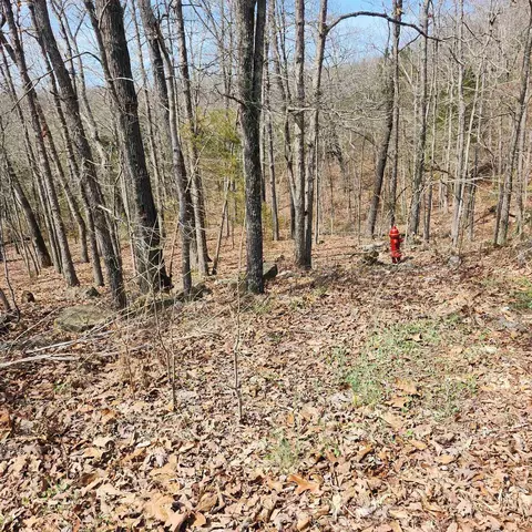 L-6, Cherokee Village, AR 72529