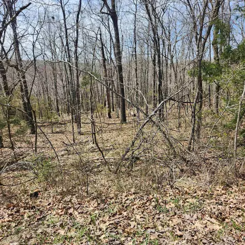 2 Flathead Drive # l, Cherokee Village, AR 72529