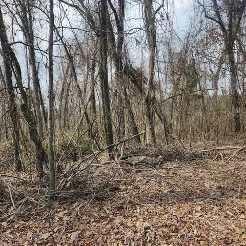 9 Hiawatha Drive, Cherokee Village, AR 72529