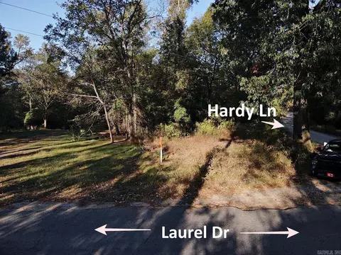 496 Hardy Ln, Bismarck, AR 71929
