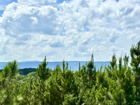 11 Avalon Lane, Mena, AR 71953 photo 14