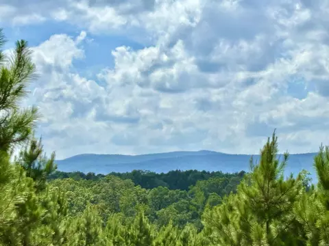 11 Avalon Lane, Mena, AR 71953 photo 15