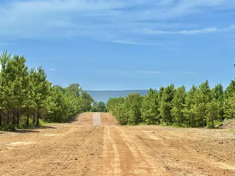 11 Avalon Lane, Mena, AR 71953 photo 8