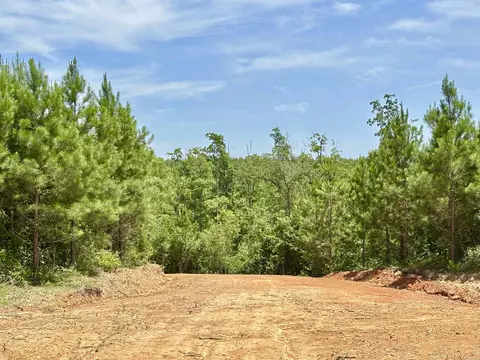 11 Avalon Lane, Mena, AR 71953 photo 10