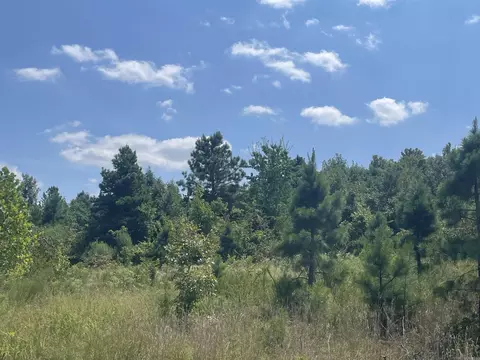 Other - 355 Signal Hill Rd, Mountain View, AR 72560 photo 1 of 3