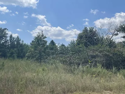 Other - 355 Signal Hill Rd, Mountain View, AR 72560 photo 2 of 3