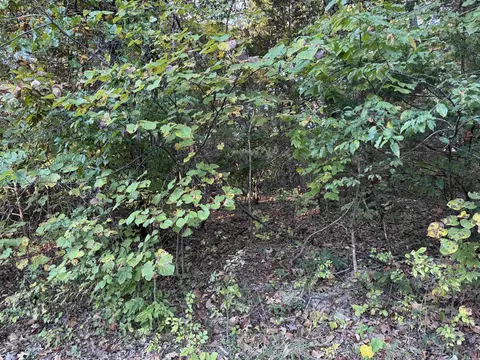 1108 1110 Pavilion Ln, Horseshoe Bend, AR 72512