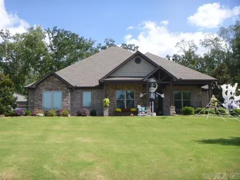 10081 Sanibel Loop, Alexander, AR 72002 photo 1