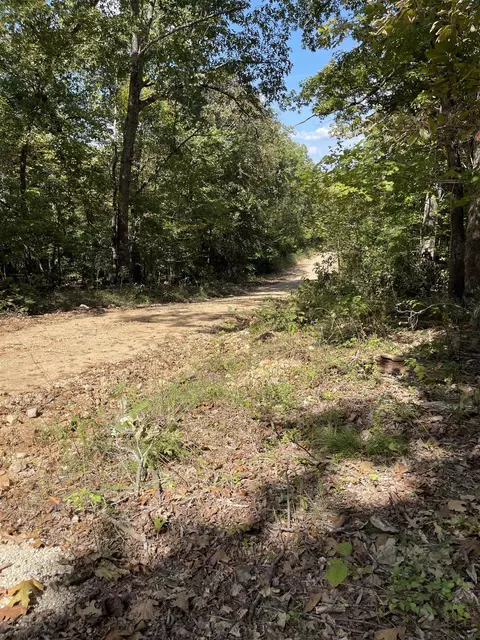 0 Wolf Hound Rd, Glencoe, AR 72539 photo 2