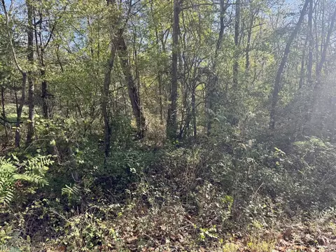 4 5a Honeysuckle Ln, Franklin, AR 72536 photo 3