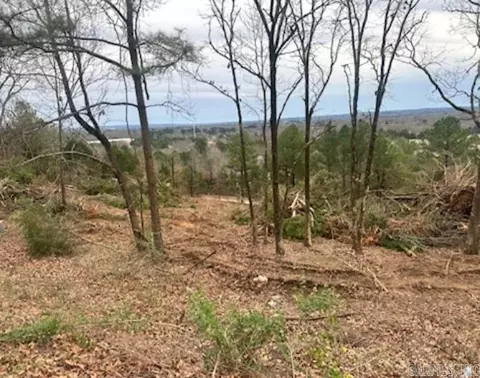 1320 Millers View St, Conway, AR 72034 photo 2