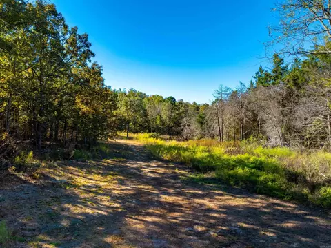 1670 Needmore Rd, Sidney, AR 72557 photo 15