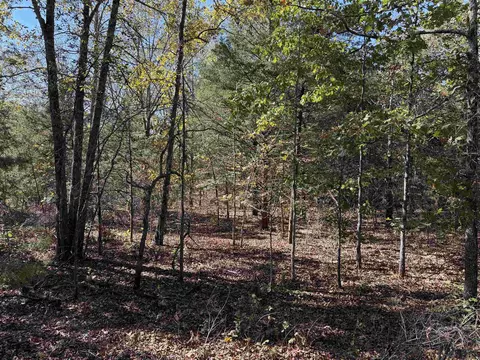 1670 Needmore Rd, Sidney, AR 72557 photo 9