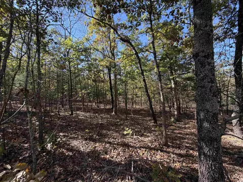 1670 Needmore Rd, Sidney, AR 72557 photo 5