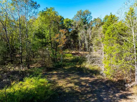 1670 Needmore Rd, Sidney, AR 72557 photo 14