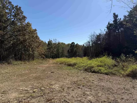1670 Needmore Rd, Sidney, AR 72557 photo 6
