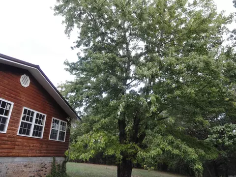 Exterior - 233 Piney Rd, Marshall, AR 72650 photo 5 of 18