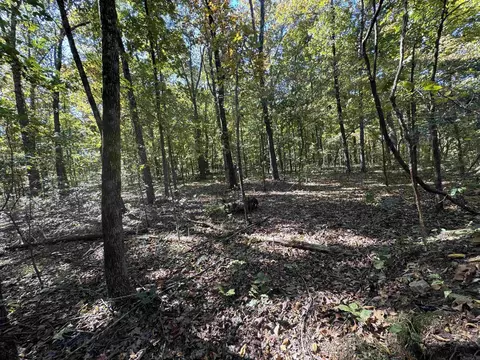 0 River Trace Ln, Hardy, AR 72542 photo 4