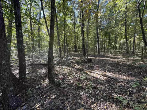 0 River Trace Ln, Hardy, AR 72542 photo 8