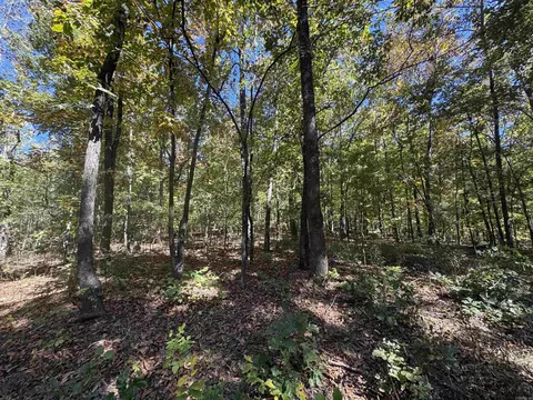 0 River Trace Ln, Hardy, AR 72542 photo 10