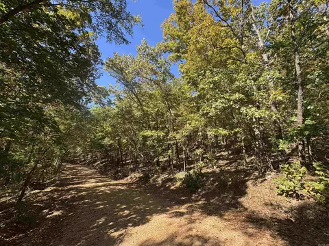 0 River Trace Ln, Hardy, AR 72542 photo 13